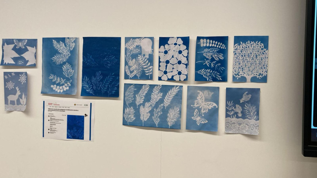 CEU. Taller de creación de imágenes combinando ciencia y arte: la técnica de la cianotipia