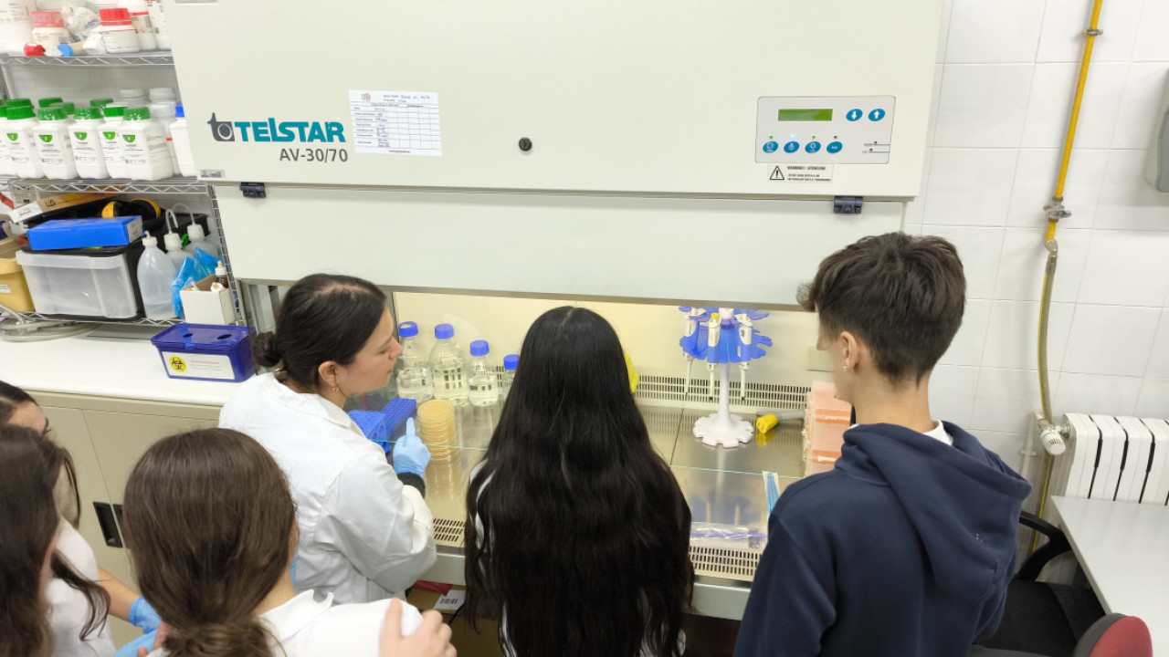 Universidad Politécnica de Madrid 12