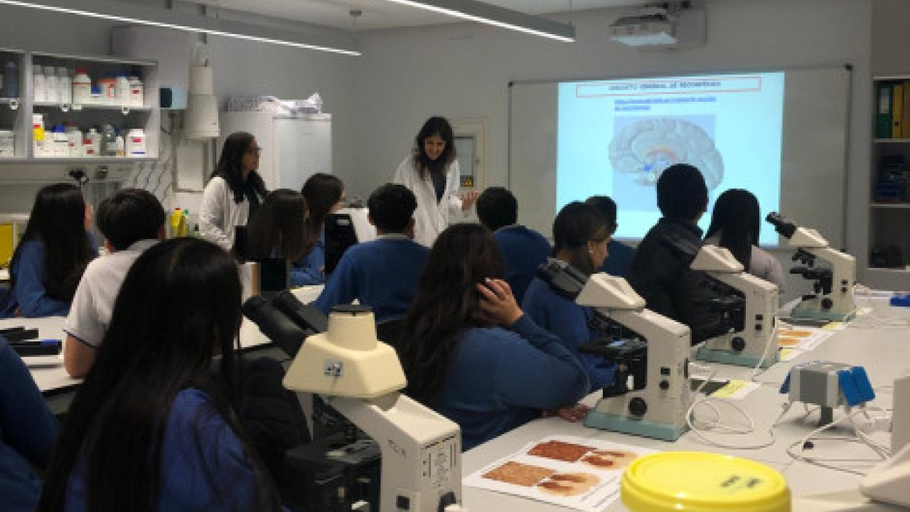 CEU. Las drogas y sus efectos: Experimentos en el laboratorio 