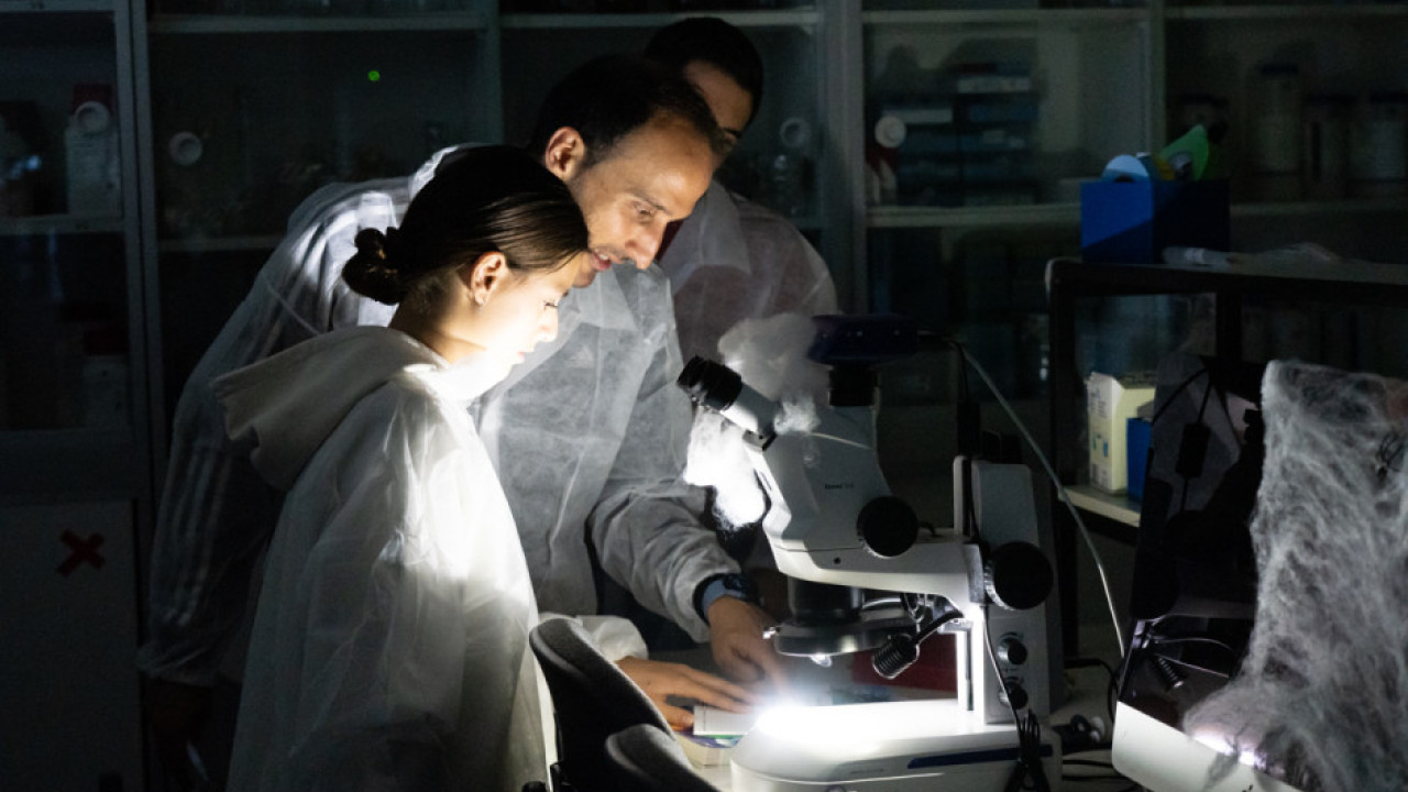 BioEscape: El Misterio del Microbio Perdido