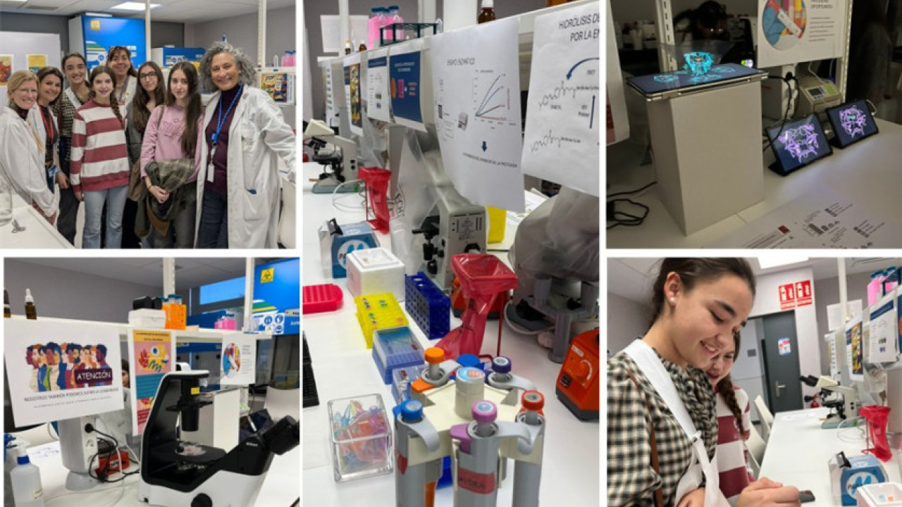 Del laboratorio al mundo: cómo los farmacéuticos descubren fármacos que salvan a millones de personas