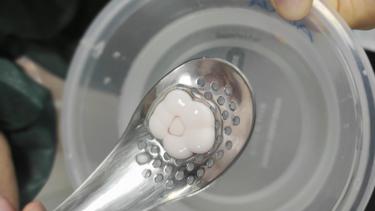 La Magia de la Tecnología de los Alimentos 