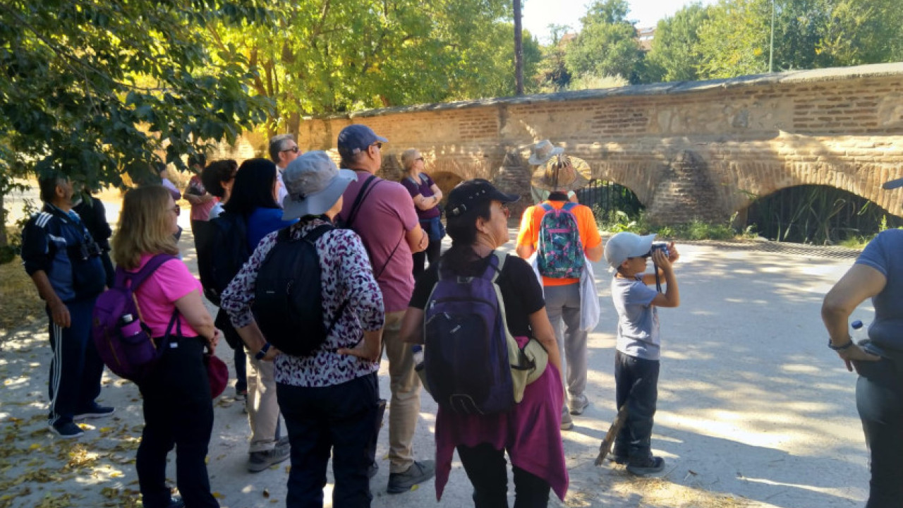 Arroyo Prado del Rey