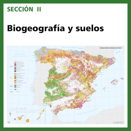Imagen de Biogeografía y suelos en la actualidad en el ANE