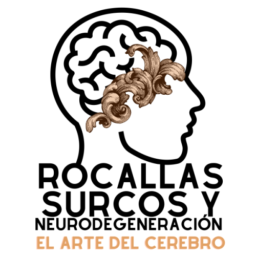 Imagen de la actividad