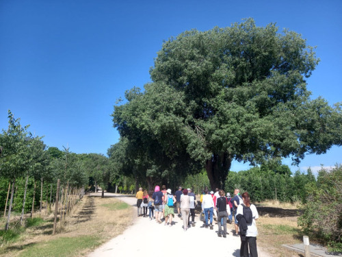 Vivero municipal Casa de Campo