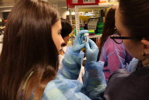 Actividad para personas a partir de los 12 años