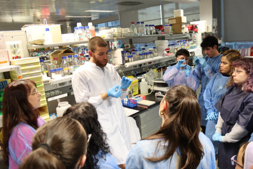 Actividad a partir de los 6 años