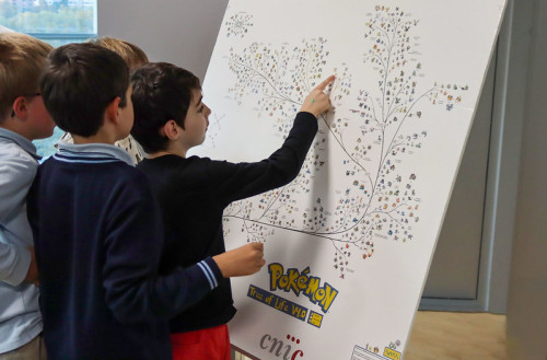 Actividad para menores de 6 a 14 años