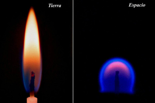 Llama en la tierra y en el espacio.