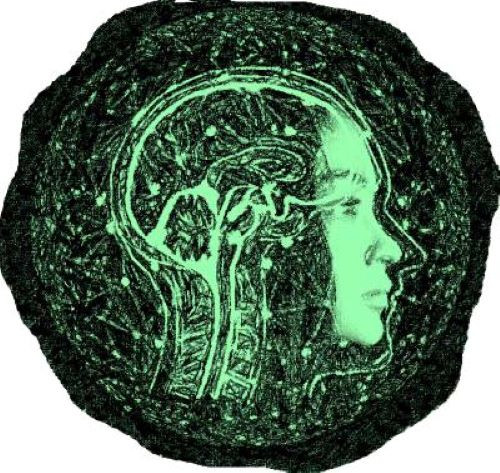 Imagen de la actividad