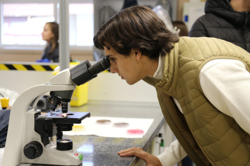 Alumno de bachillerato observando una sustancia a través del microscopio