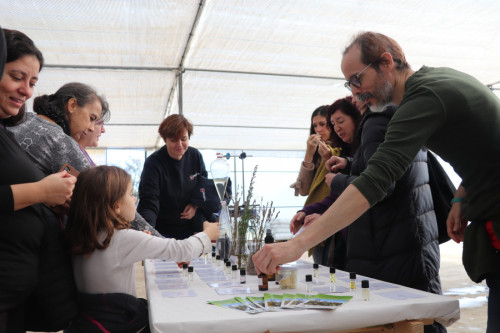 Personas en actividad divulgativa sobre las plantas aromáticas