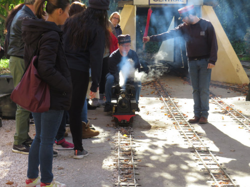 Locomotora de vapor en funcionamiento circulando por el parque gestionado por el Círculo Madrileño Ferroviario