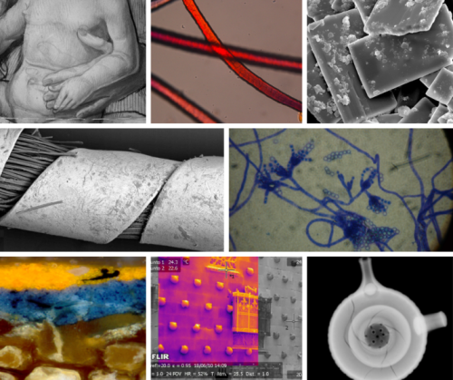 Collage de imágenes resultantes de diferentes técnicas de análisis por imagen