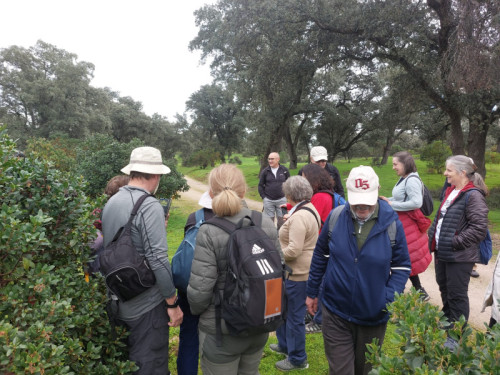 Encinar de San Pedro