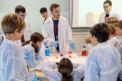 Actividad para menores de 6 a 14 años