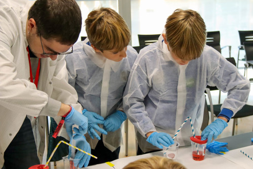 Actividad para menores de 8 a 12 años