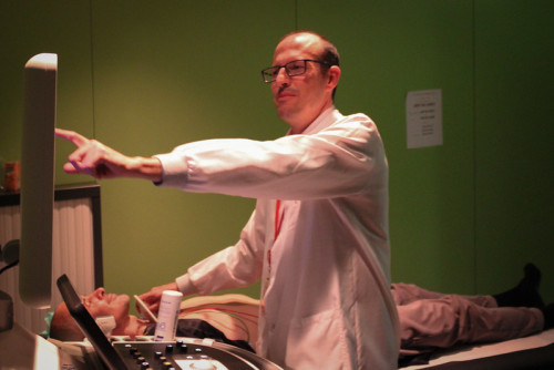 Actividad para conocer nuestro corazón para todos los públicos