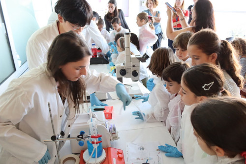 Actividad para menores de 6 a 10 años