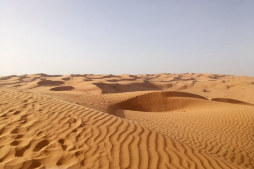 Dunas de arena en un desierto