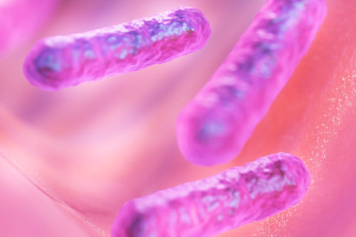 Tres bacterias rosas