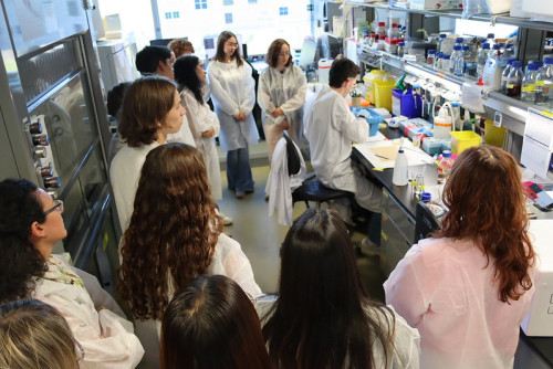 Actividad CNIC neurociencia