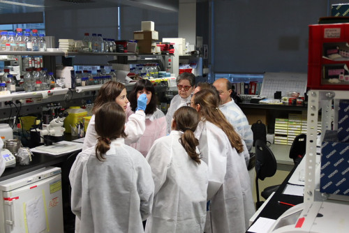 Semana de la Ciencia en CNIC