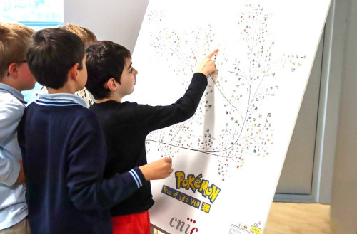Actividad CNIC Semana de la Ciencia