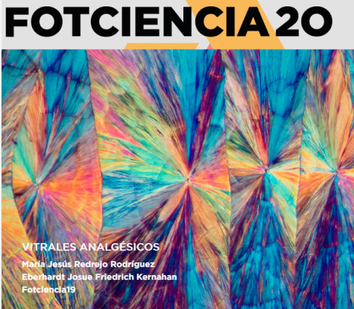 LOGO FOTCIENCIA20