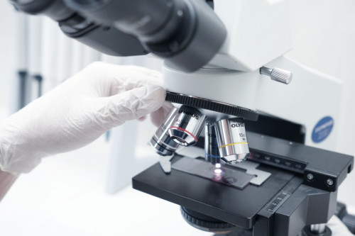 Imagen de un microscopio