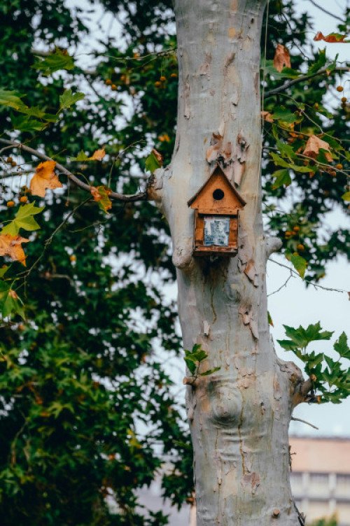 Biodiversidad Urbana