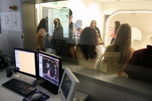 Actividad relación entre el cáncer y el corazón