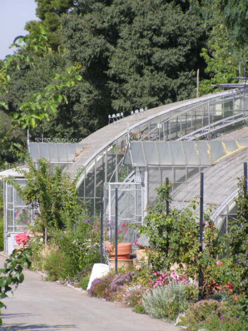 Vivero de Estufas del Retiro