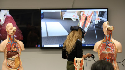 Anatomía Virtual