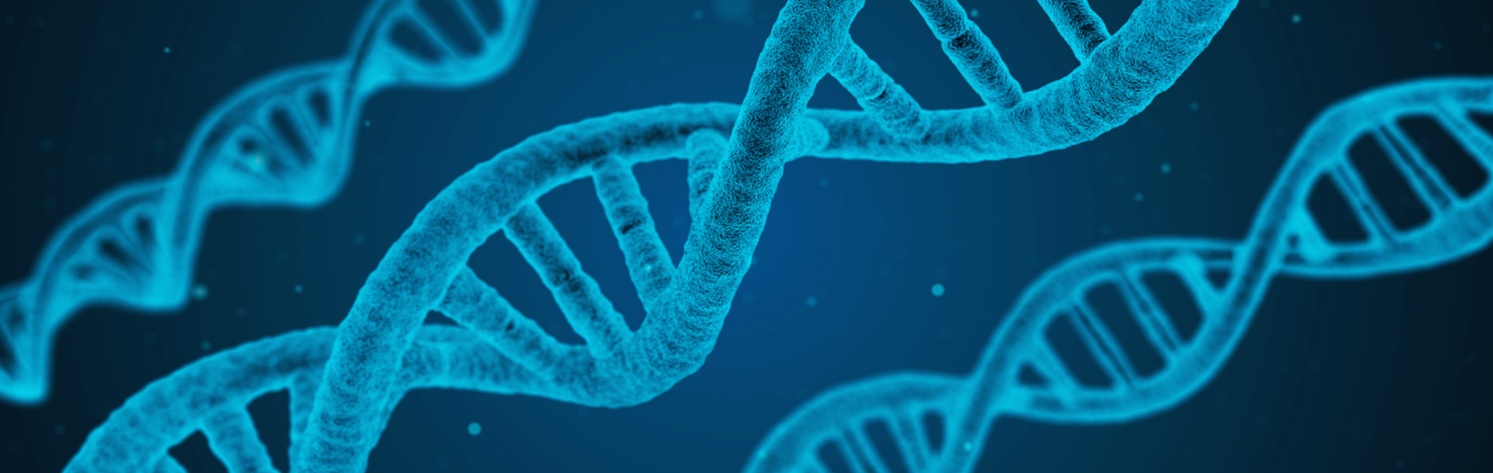 Descripción industria