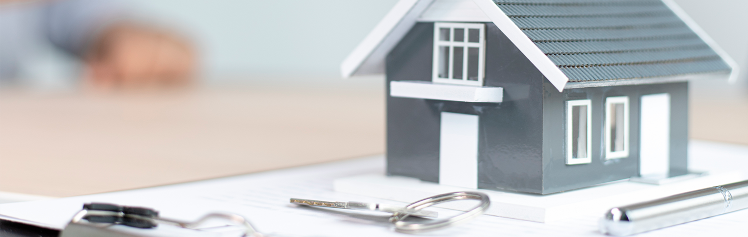 Descripción industria