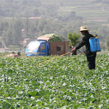 Mujer rociando los campos con pesticida. / IFPRI -IMAGES (FLICKR)