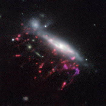 Galaxia medusa observada con el Very Large Telescope de ESO. / ESO/GASP collaboration