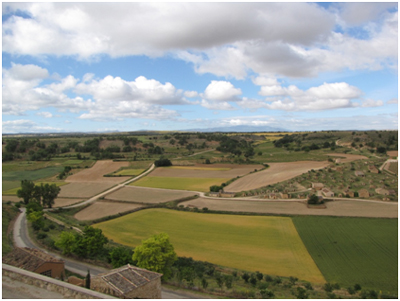 Paraje y Bodegas de 'El Plantío', en Atauta (Soria)
