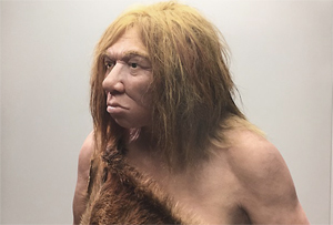 Las manos (y no la mente) del neandertal limitaban sus trabajos artesanales