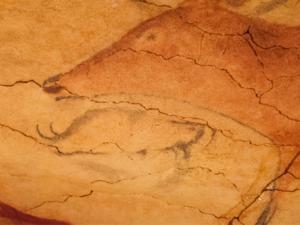 Pinturas de la reproducción de la Cueva de Altamira. / Graeme Churchard (FLICKR)