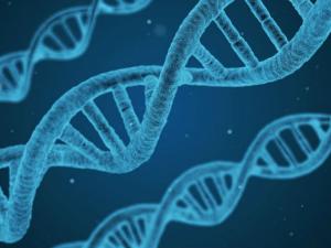 Hallan una nueva estructura en nuestro ADN, distinta de la "doble hélice". / geralt (PIXABAY)