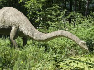 La supervivencia de los dinosaurios fue cuestión de minutos. / michaelwedermann (PIXABAY)