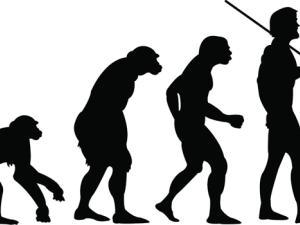Ilustración de la evolución humana. / Bryan Wright (FLICKR)