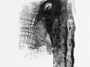 Elefante africano. / Lisette Pons