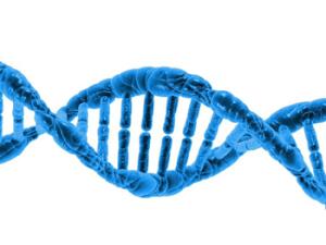 Ilustración de cadena de ADN. / PublicDomainPictures (PIXABAY)