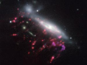 Galaxia medusa observada con el Very Large Telescope de ESO. / ESO/GASP collaboration
