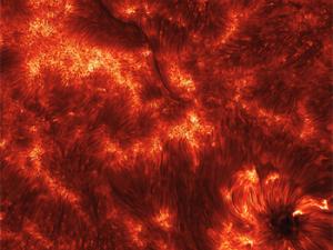 Espículas solares. / K. Reardon (Osservatorio Astrofisico di Arcetri, INAF) IBIS, DST, NSO