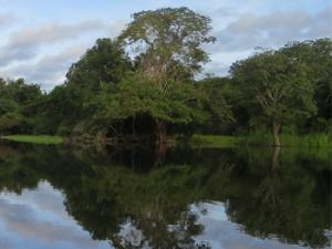 Amazonas. / eismannhans (PIXABAY)